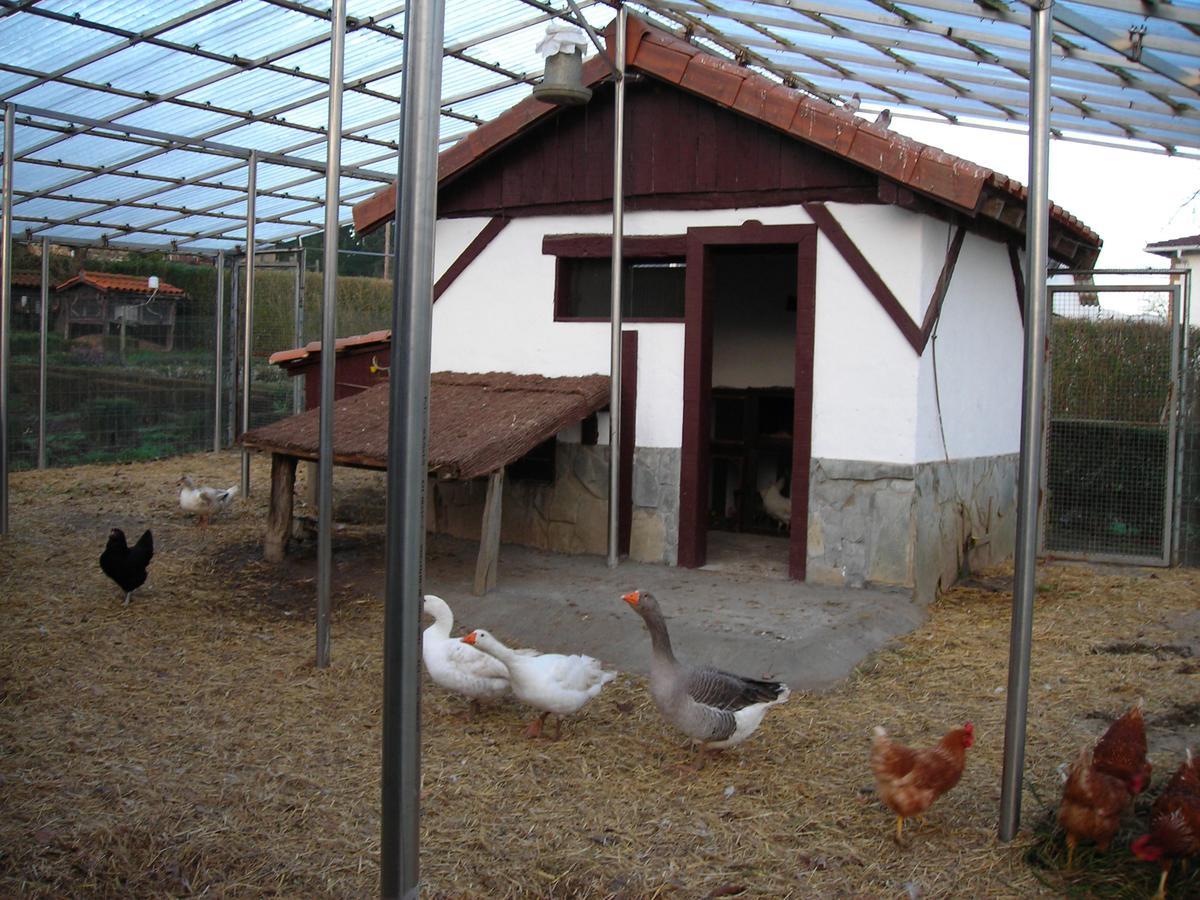 Albergue Areitz Soroa Arce Exterior foto